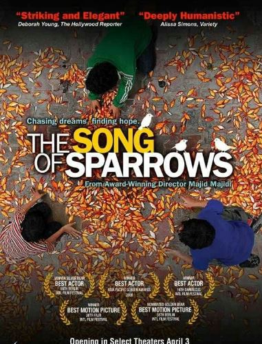 Chumchuqlar Qo'shig'i Eron kino 2008 HD Uzbek tilida Tarjima kino Skachat