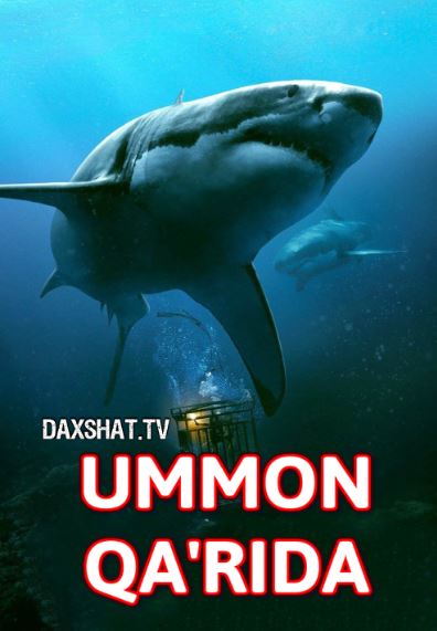 Ummon Qa'rida / 47 metr pastda / Moviy Tubsizlik 2017 HD Uzbek tilida Tarjima kino Skachat