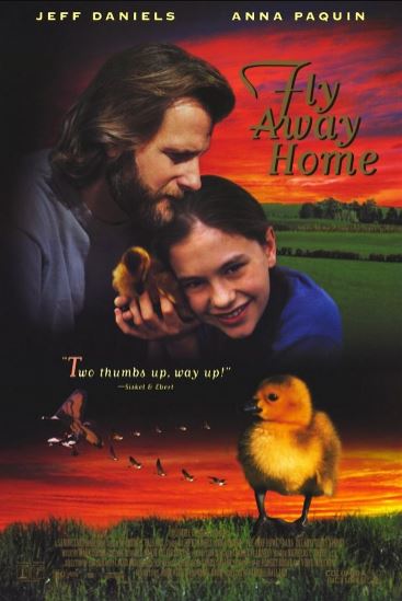 Uyga Parvoz HD 1996 Uzbek tilida Tarjima kino Skachat